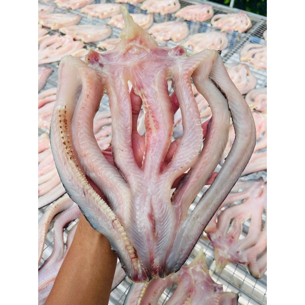 fresh organic honey fresh organic honey